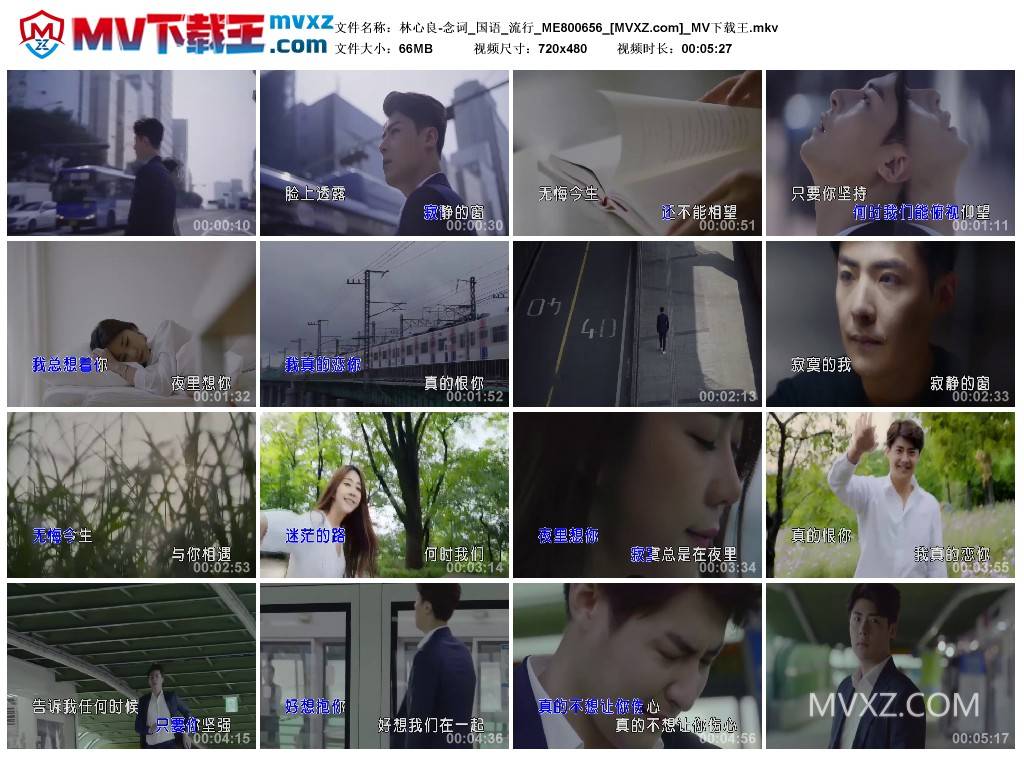 林心良-念词_国语_流行_ME800656